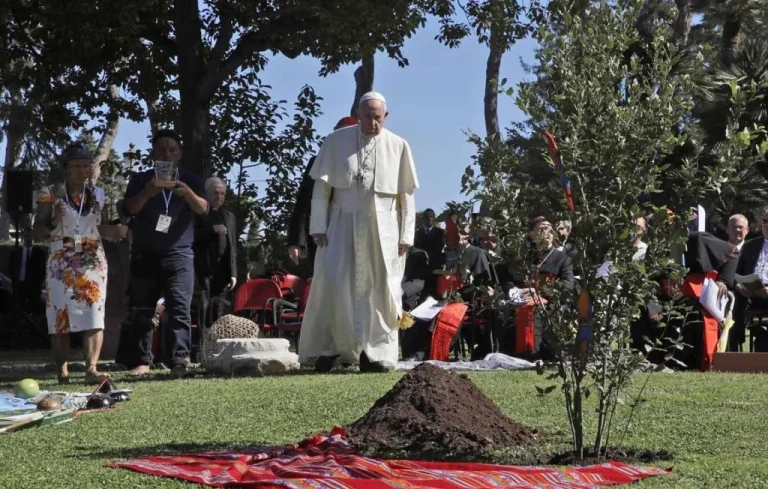 L&rsquo;héritage écologique du pape François en France