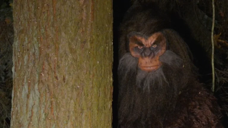 Une enquête révèle le nombre surprenant de personnes croyant en Bigfoot
