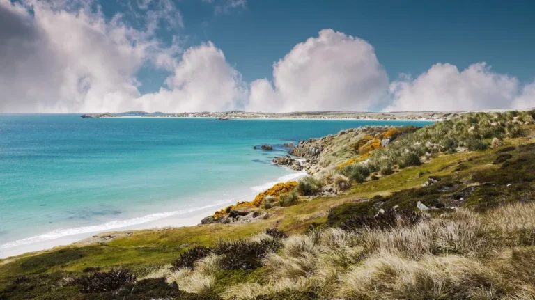 Les îles Malouines : Histoire et souveraineté actuelle