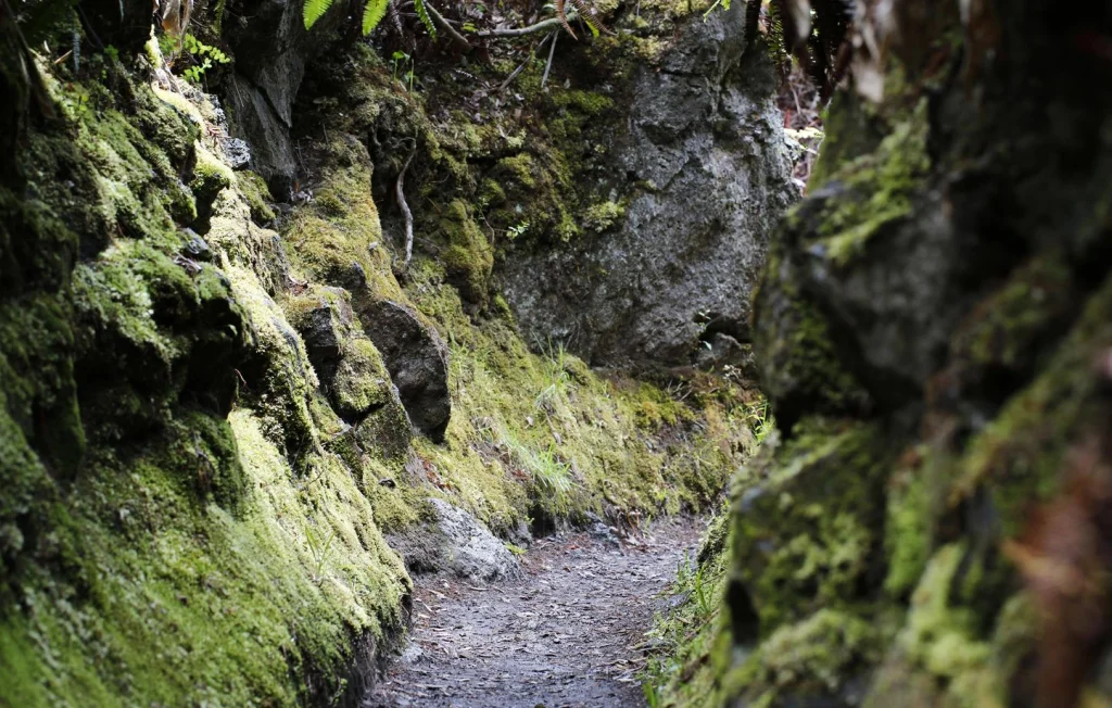 Médecin à Hawaï tente de tuer sa femme en pleine randonnée