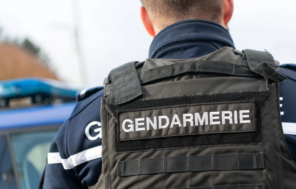 Meurtre de deux septuagénaires dans les Vosges : suspects interné