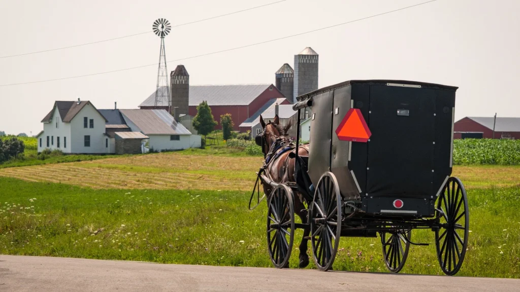 Pourquoi les femmes amish arrachent-elles leurs dents ?