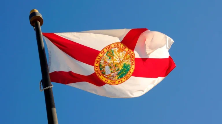 Que symbolise le drapeau de la Floride ? Histoire et signification