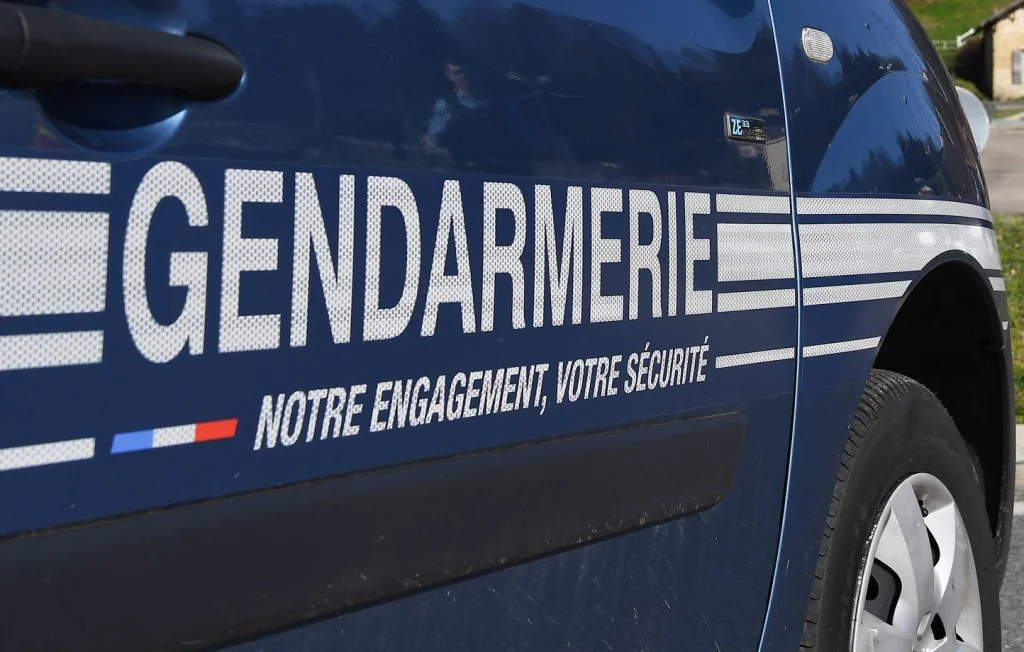 Violente agression d'un ado en Isère : deux frères arrêtés