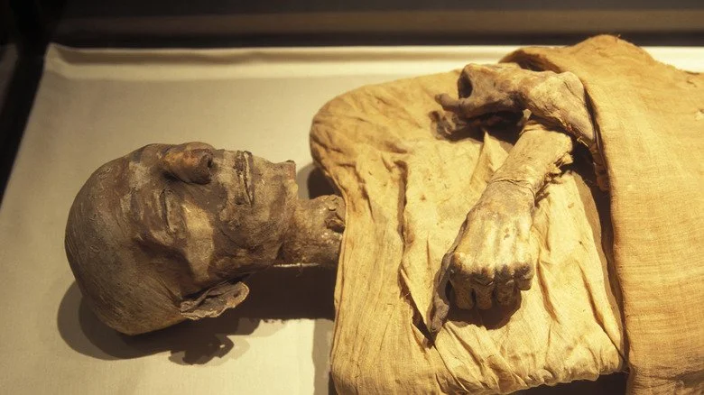 Momie égyptienne avec les bras croisés