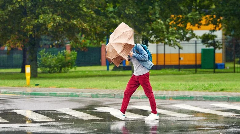 Personne dans un passage piéton tenant un parapluie sous la pluie