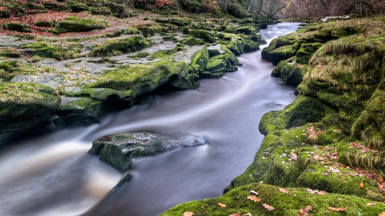 Bolton Strid, rivière du Yorkshire