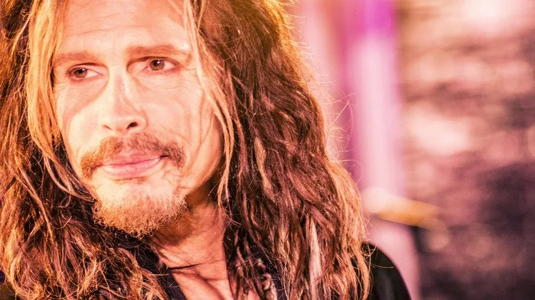 Gros plan sur Steven Tyler en 2014