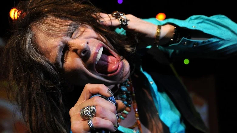 Steven Tyler chantant lors d'un concert