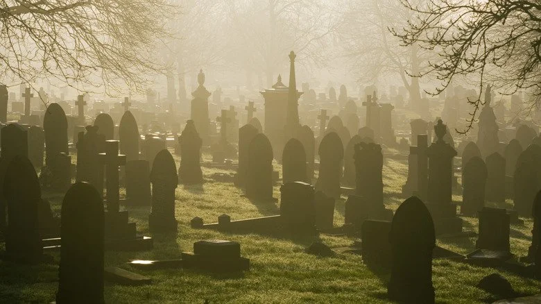 Cimetière enveloppé de brouillard en journée