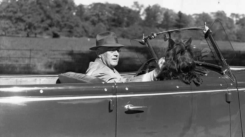 Franklin D. Roosevelt conduisant sa voiture avec son chien Fala