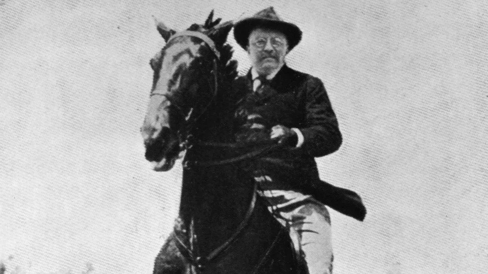 Teddy Roosevelt à cheval