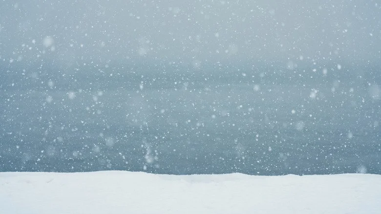 Vue rapprochée de la neige