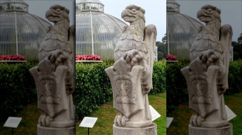 Le faucon des Plantagenêt