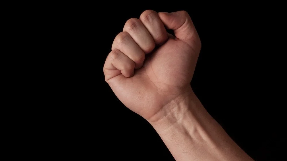 Avant-bras avec palmaris longus visible