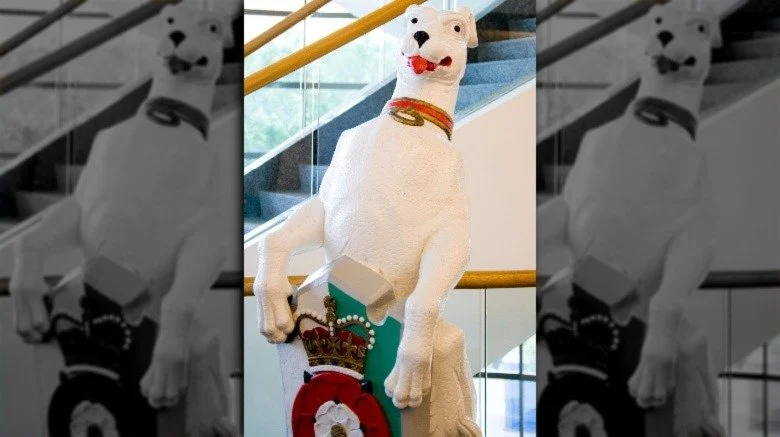 Le lévrier blanc de Richmond