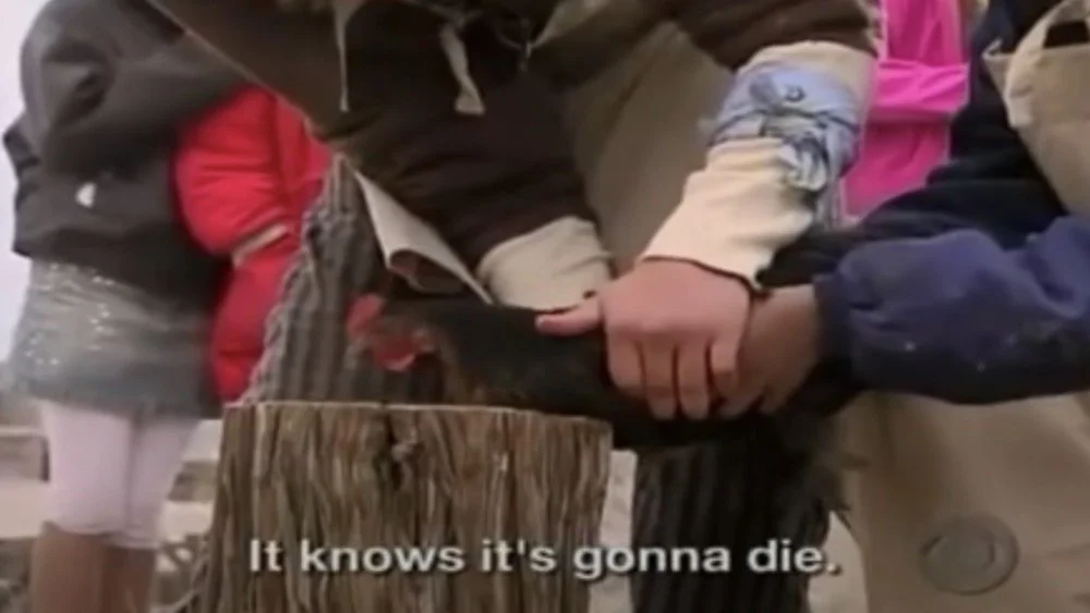 Enfants prêts à décapiter un poulet