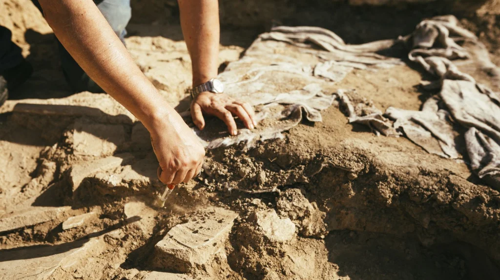Découverte rare : la première roue de char de l'âge du fer en Écosse