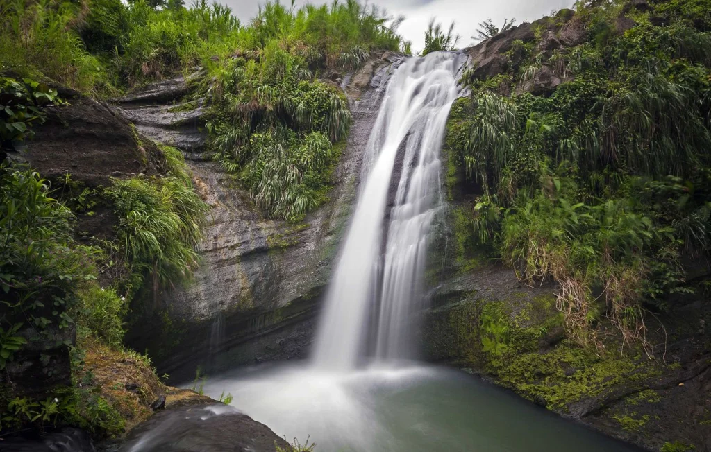 Deux jeunes femmes mortes dans une cascade en Martinique
