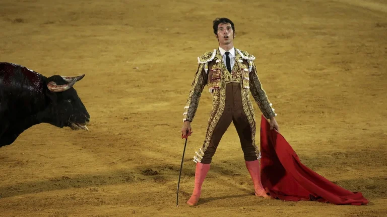 Devenir Matador : Entre Tradition et Courage en Espagne
