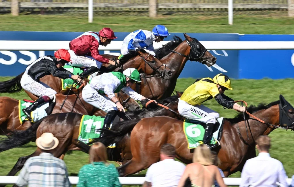 Euthanasie des chevaux : un débat secoué par une hécatombe au Mans