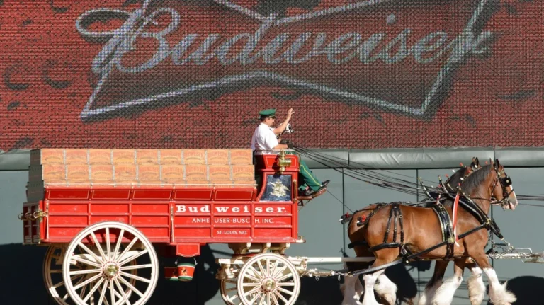 L&rsquo;histoire des Clydesdales de Budweiser : mascottes légendaires