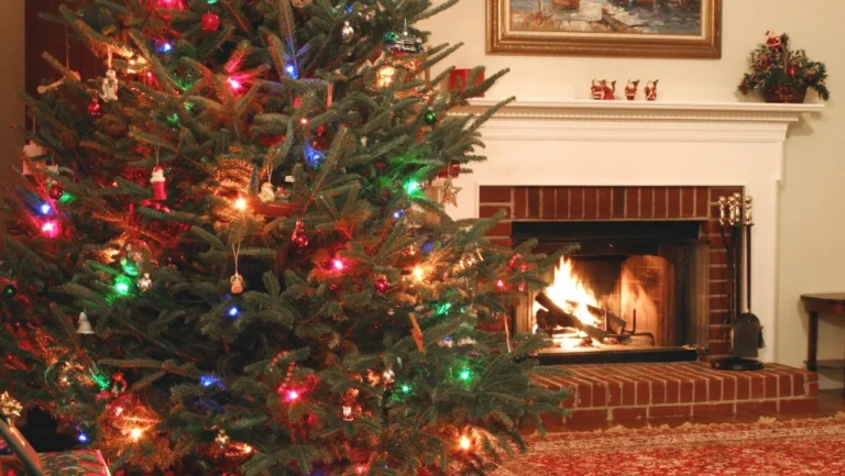 L&rsquo;Histoire du Bûche de Noël Dévoilée