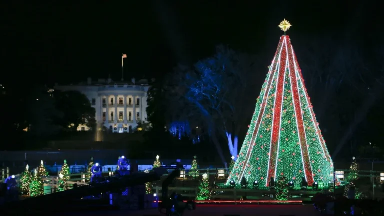 L&rsquo;histoire surprenante de l&rsquo;arbre de Noël national
