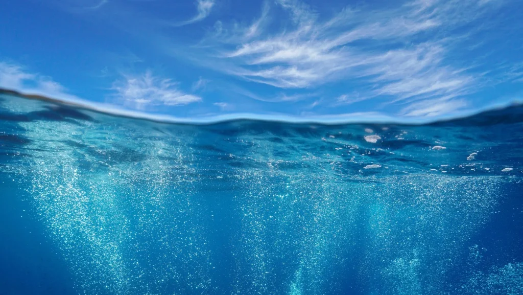 La Thalassophobie : Comprendre la peur de l'océan en France