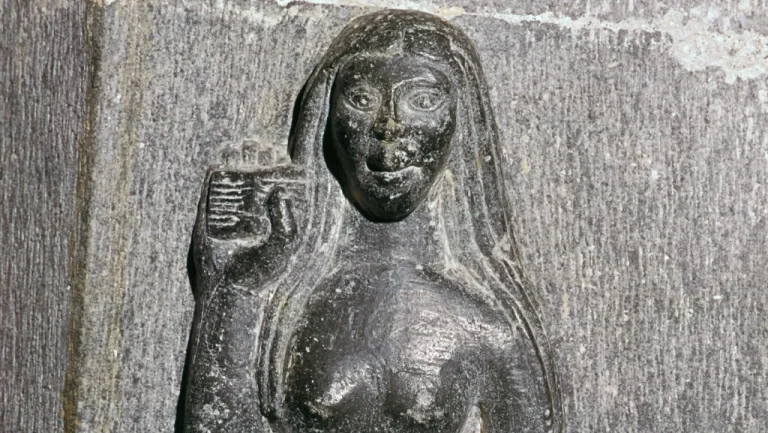 La Véritable Histoire de la Sainte Sirène d&rsquo;Irlande