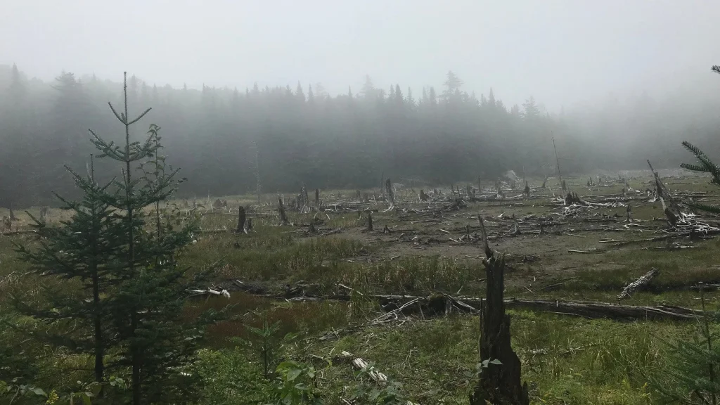 Les Disparitions Mystérieuses du Triangle de Bennington