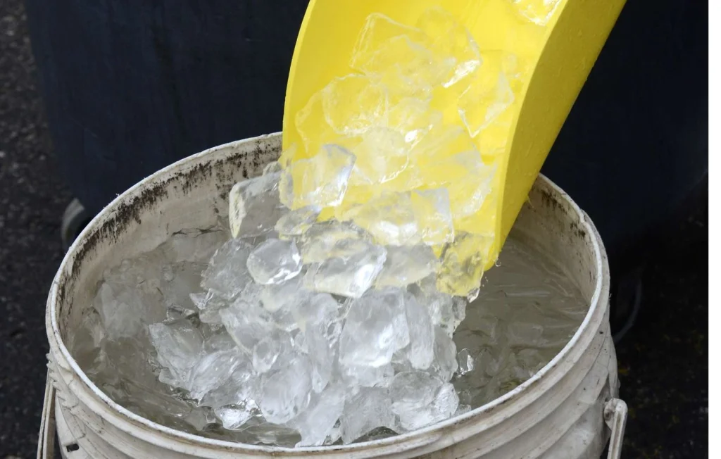 Maltraitance animale : Le nouveau challenge TikTok qui choque