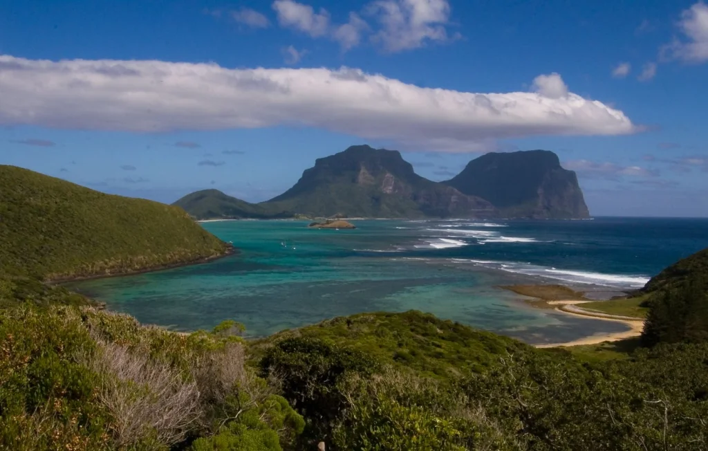 Pollution plastique : 778 morceaux découverts dans un puffin en Australie