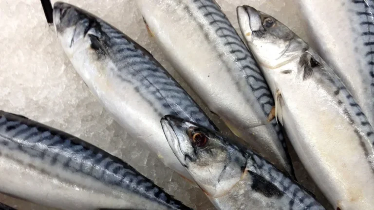 Pourquoi certains ne sentent pas le poisson avarié