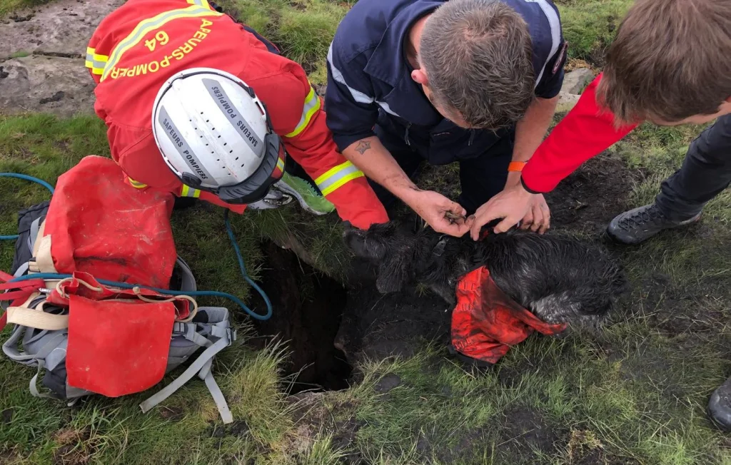 Sauvetage héroïque d'un chien coincé dans les Pyrénées-Atlantiques