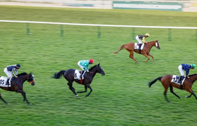 Tragédie au Mans : Trois chevaux meurent sur l&rsquo;hippodrome
