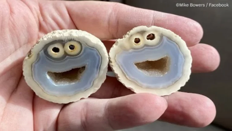 Une géode brésilienne ressemble à Cookie Monster de Sesame Street