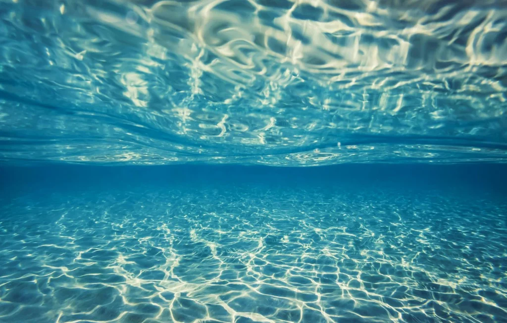 Une méduse fantôme géante découverte en Antarctique