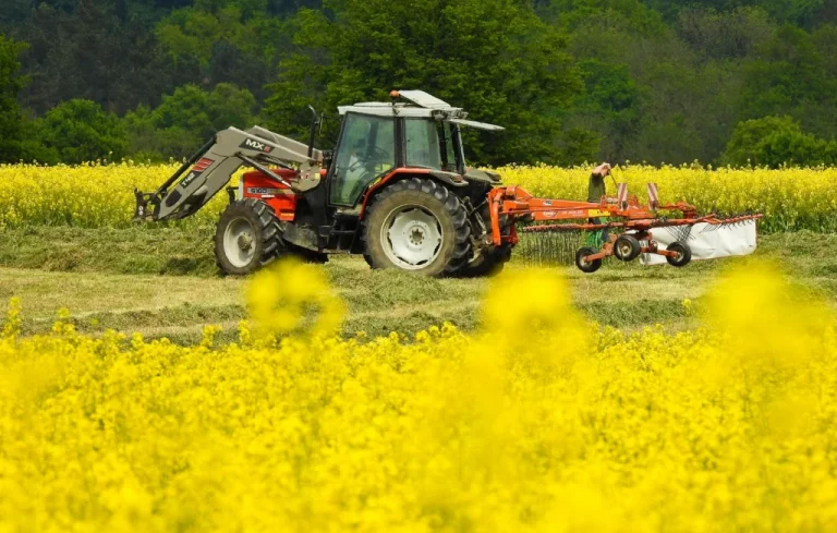 Violence entre frères en Normandie pour un champ disputé