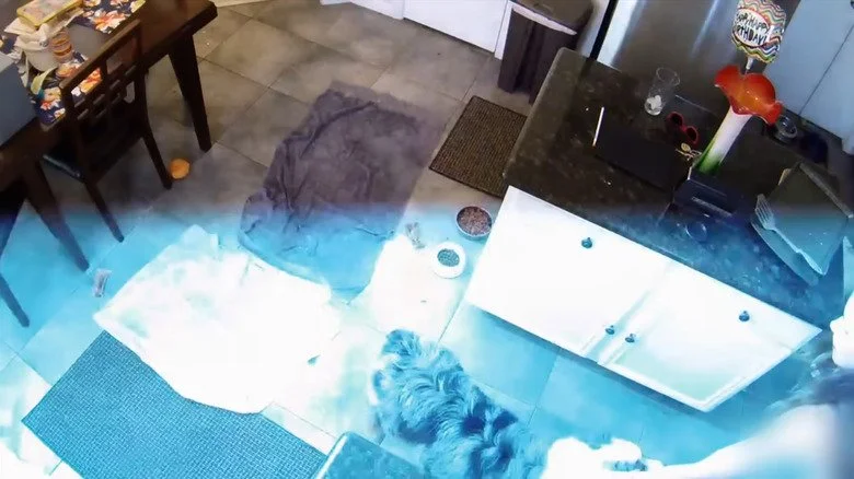 Flash bleu aperçu dans une vidéo de caméra de surveillance