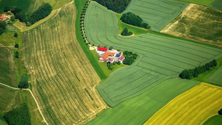 Vue aérienne de terres agricoles