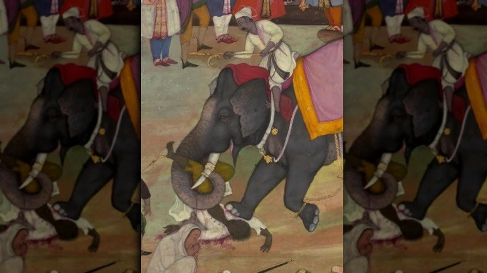 Peinture d’un éléphant moghol