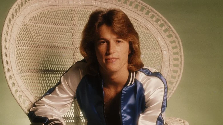 Andy Gibb assis
