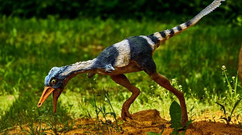 Ancêtre des oiseaux