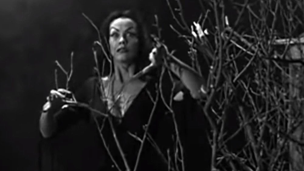 Vampira guette dans Plan Nine Form Outer Space