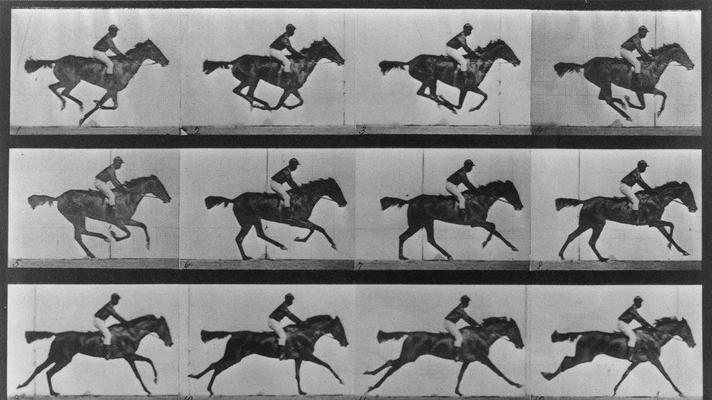 Photos de Muybridge sur la foulée d'un cheval