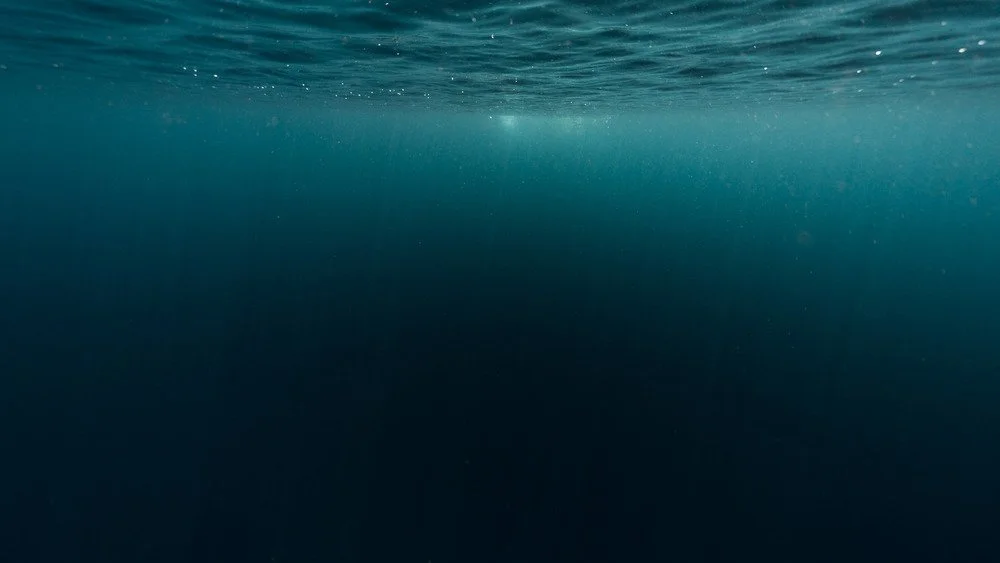 Profondeurs océaniques