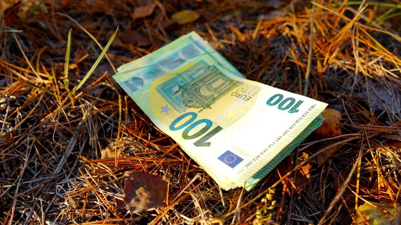 Pile d'argent étalée dans un champ