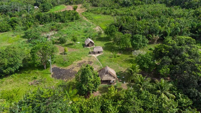 Vue aérienne des habitations indigènes en Amazonie