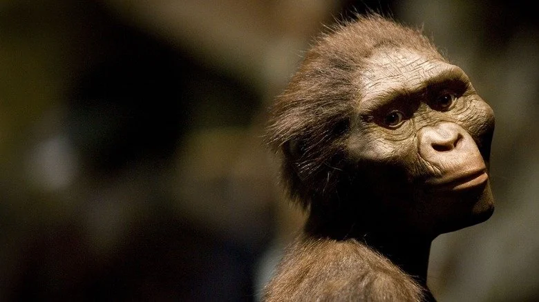 Australopithèque, un ancêtre humain